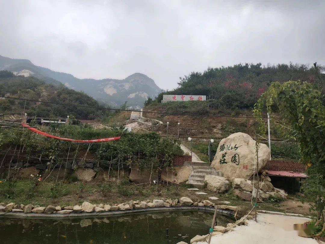 蝎子逃生之地