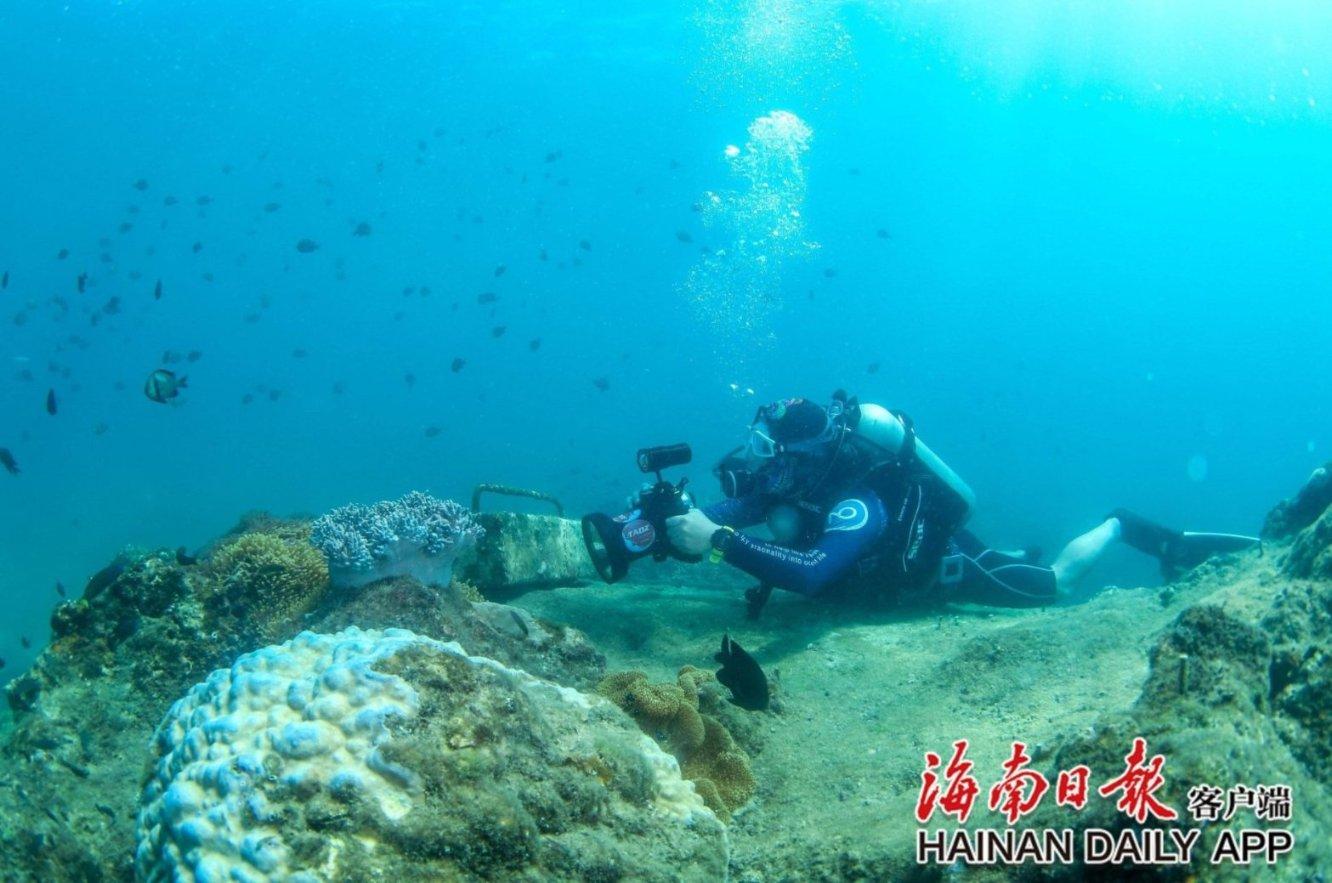 学习强国走路积分怎么没了游戏画面